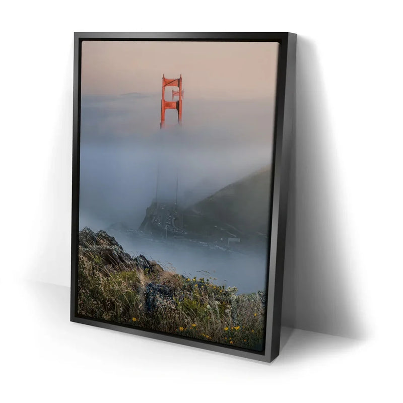 Through The Fog - San Francisco