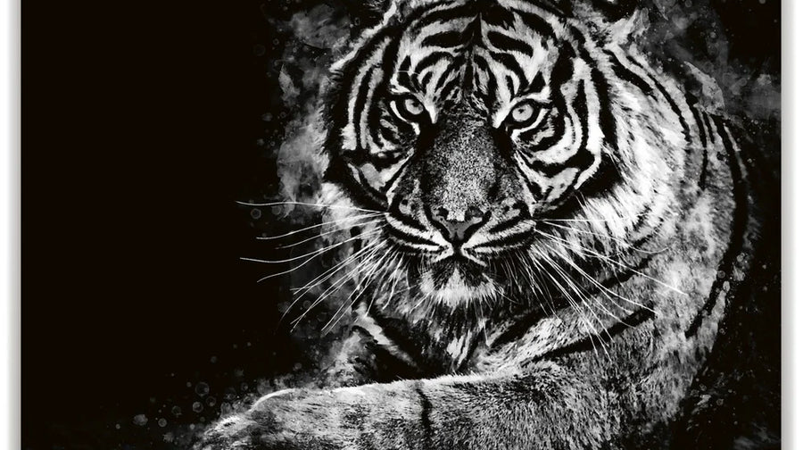 Tiger - Watercolor - Black and White