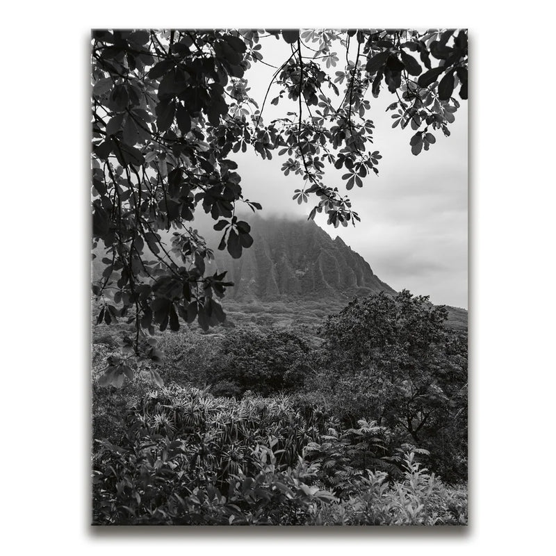 When The Leaves Touch The Mountains - Oahu, HI