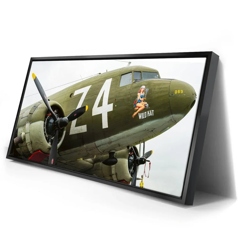 Wild Kat C-49