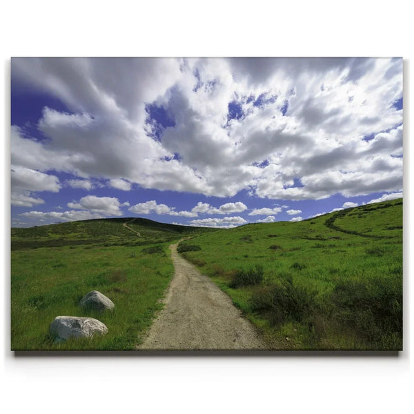 Winding Spring Trail