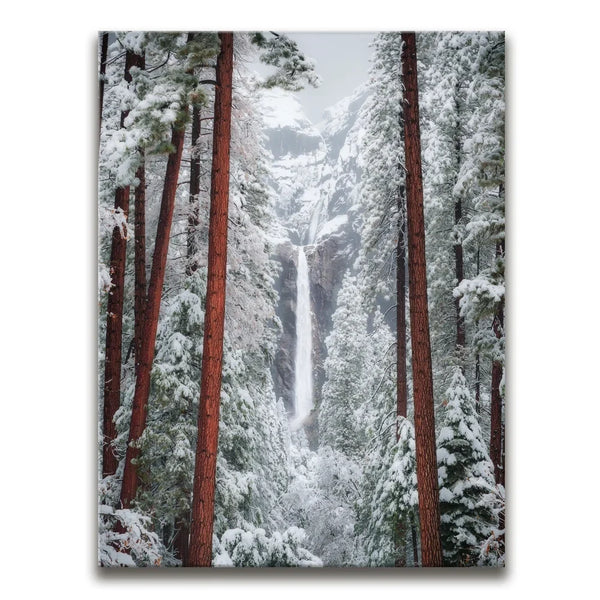 Winter Escape