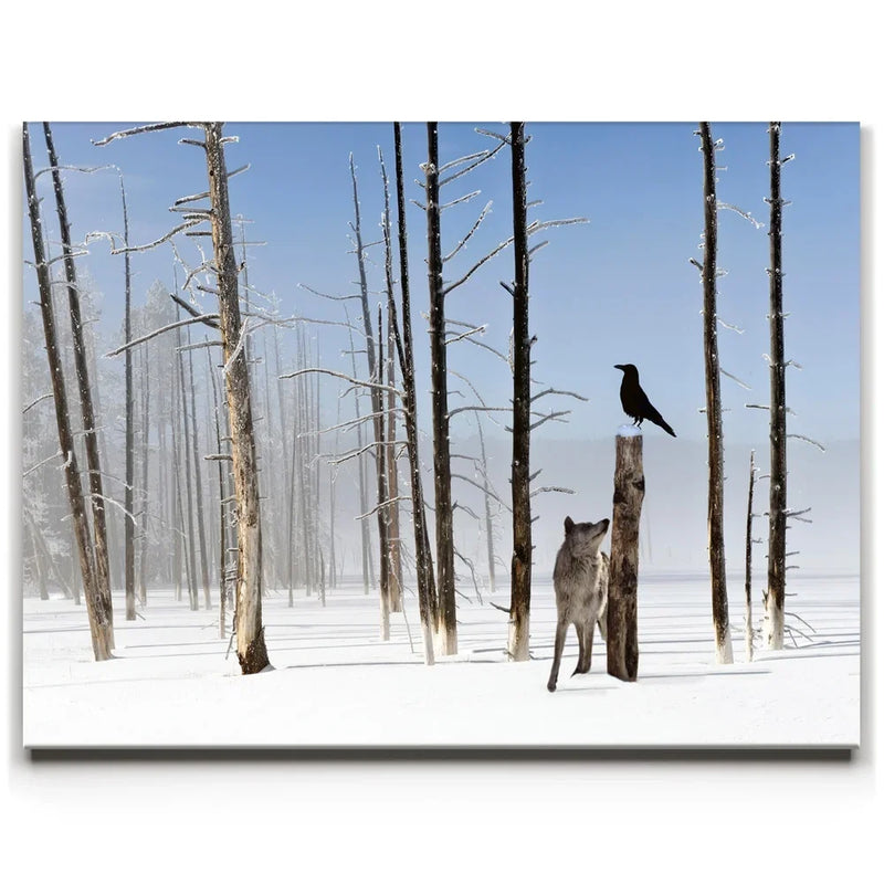 Yellowstone Winter Watch