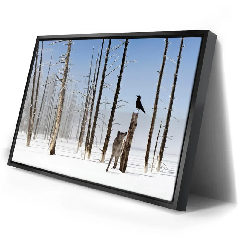 Yellowstone Winter Watch